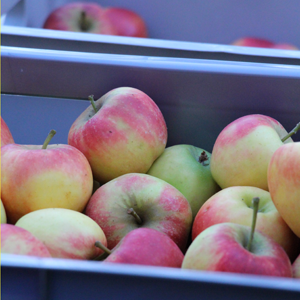 appel