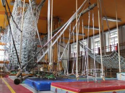 tarzanopschool